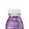 Mirtillo