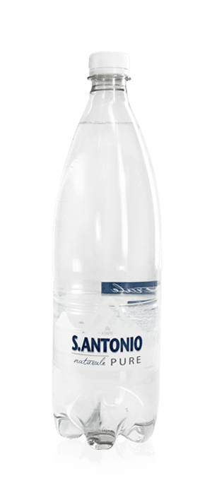 Acqua S.Antonio 1l naturale PET